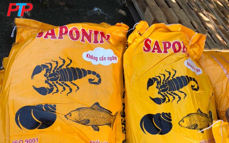Saponin là gì